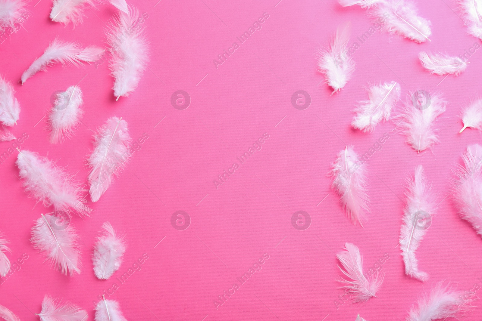 Photo of Many fluffy feathers on pink background, flat lay. Space for text