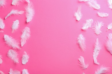 Photo of Many fluffy feathers on pink background, flat lay. Space for text