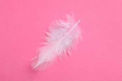 Photo of One beautiful fluffy feather on pink background, top view