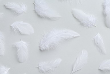 Photo of Beautiful fluffy feathers on light grey background, flat lay