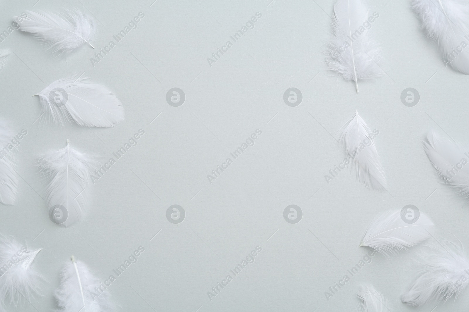 Photo of Beautiful fluffy feathers on light grey background, flat lay. Space for text