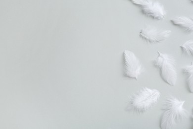 Photo of Beautiful fluffy feathers on light grey background, flat lay. Space for text