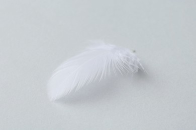 Photo of Beautiful fluffy feather on light grey background, closeup