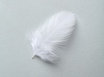 Photo of Beautiful fluffy feather on light grey background, top view