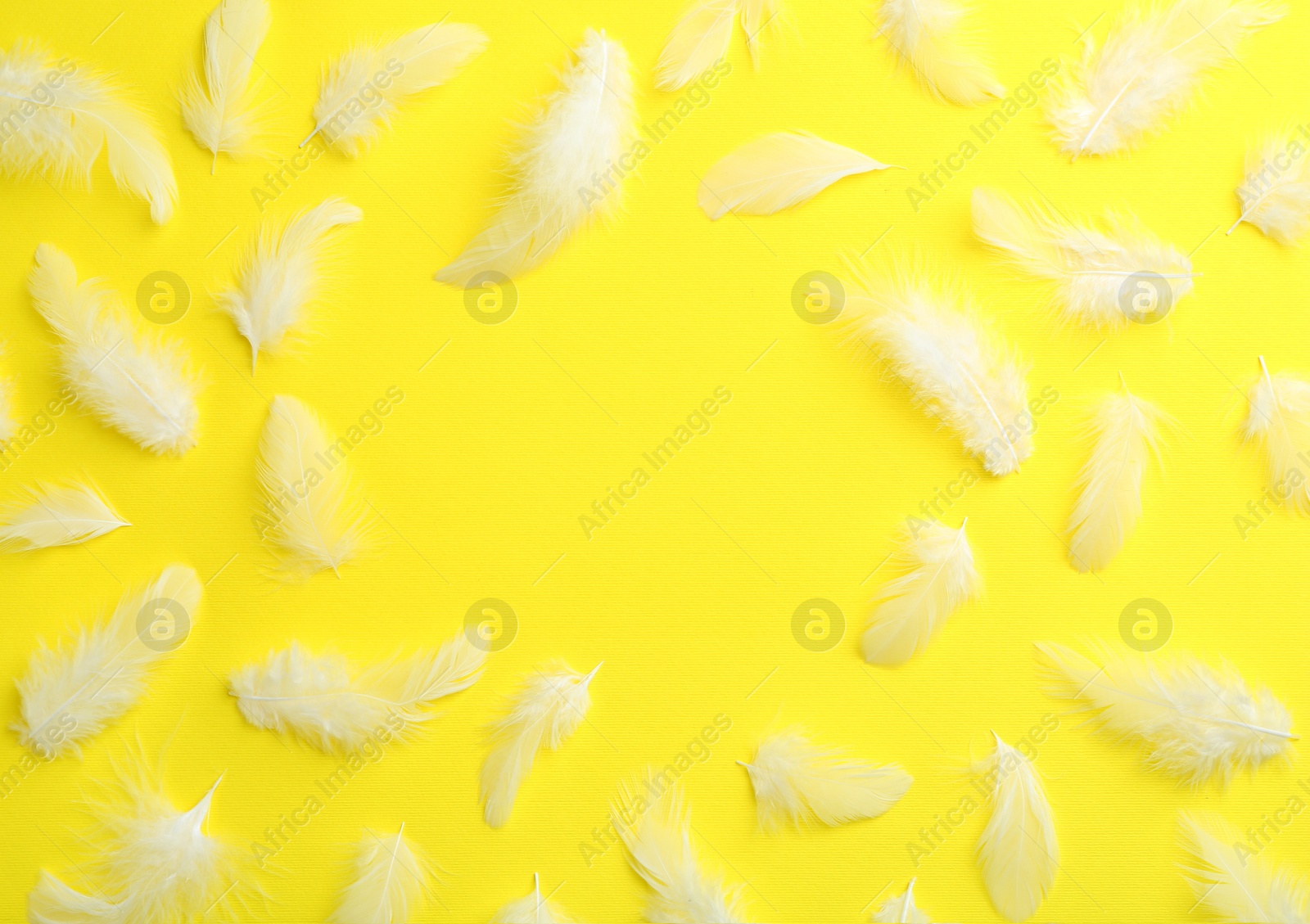 Photo of Frame of beautiful fluffy feathers on yellow background, flat lay. Space for text