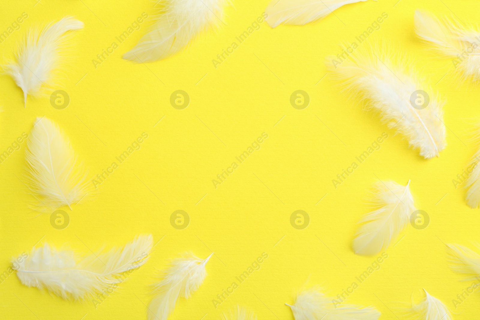 Photo of Frame of beautiful fluffy feathers on yellow background, flat lay. Space for text