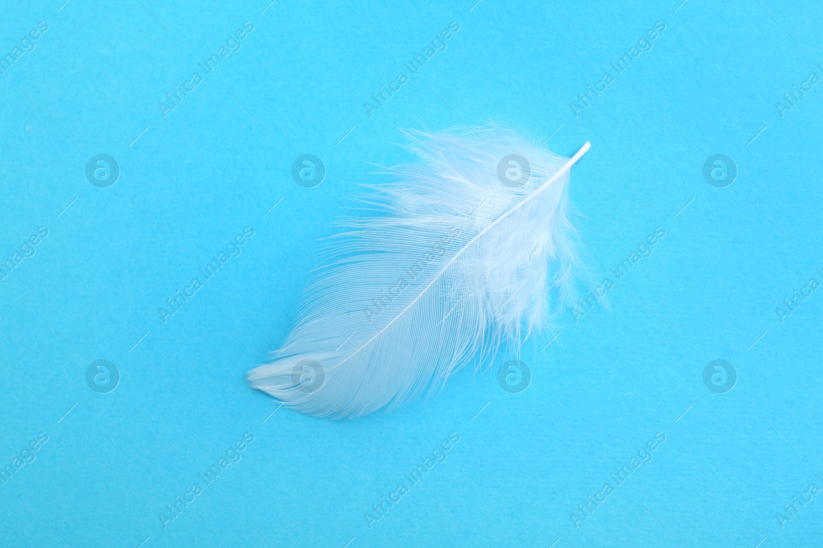 Photo of Beautiful fluffy feather on light blue background, top view