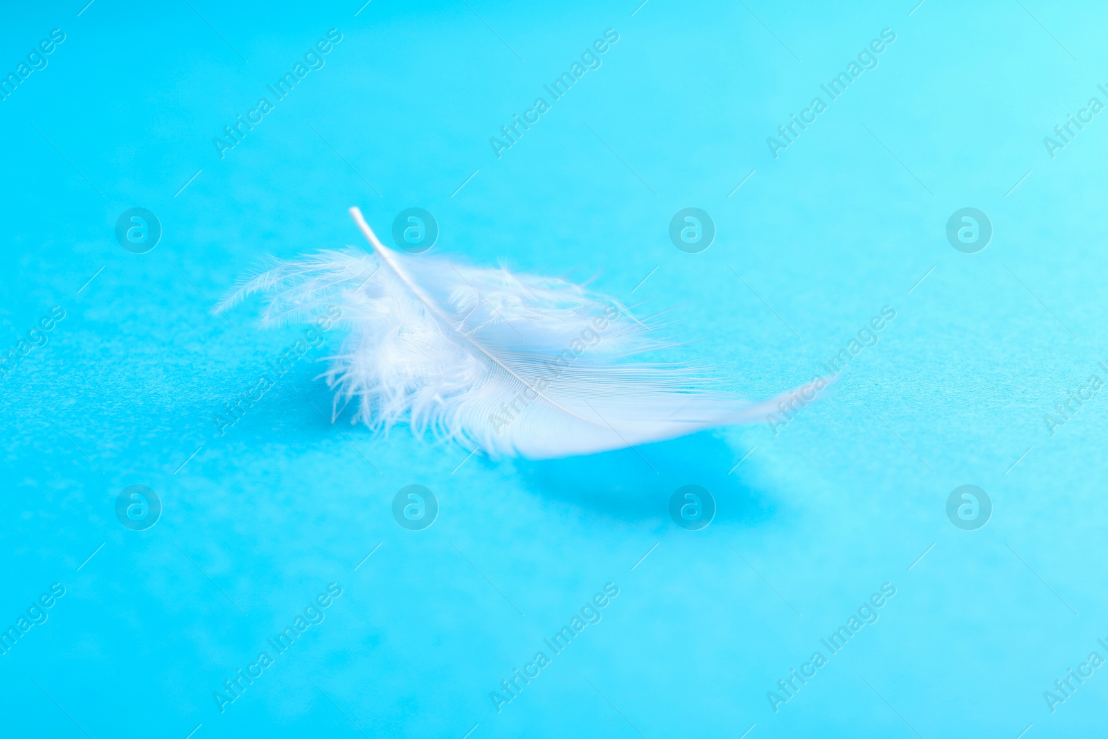 Photo of Beautiful fluffy feather on light blue background, closeup