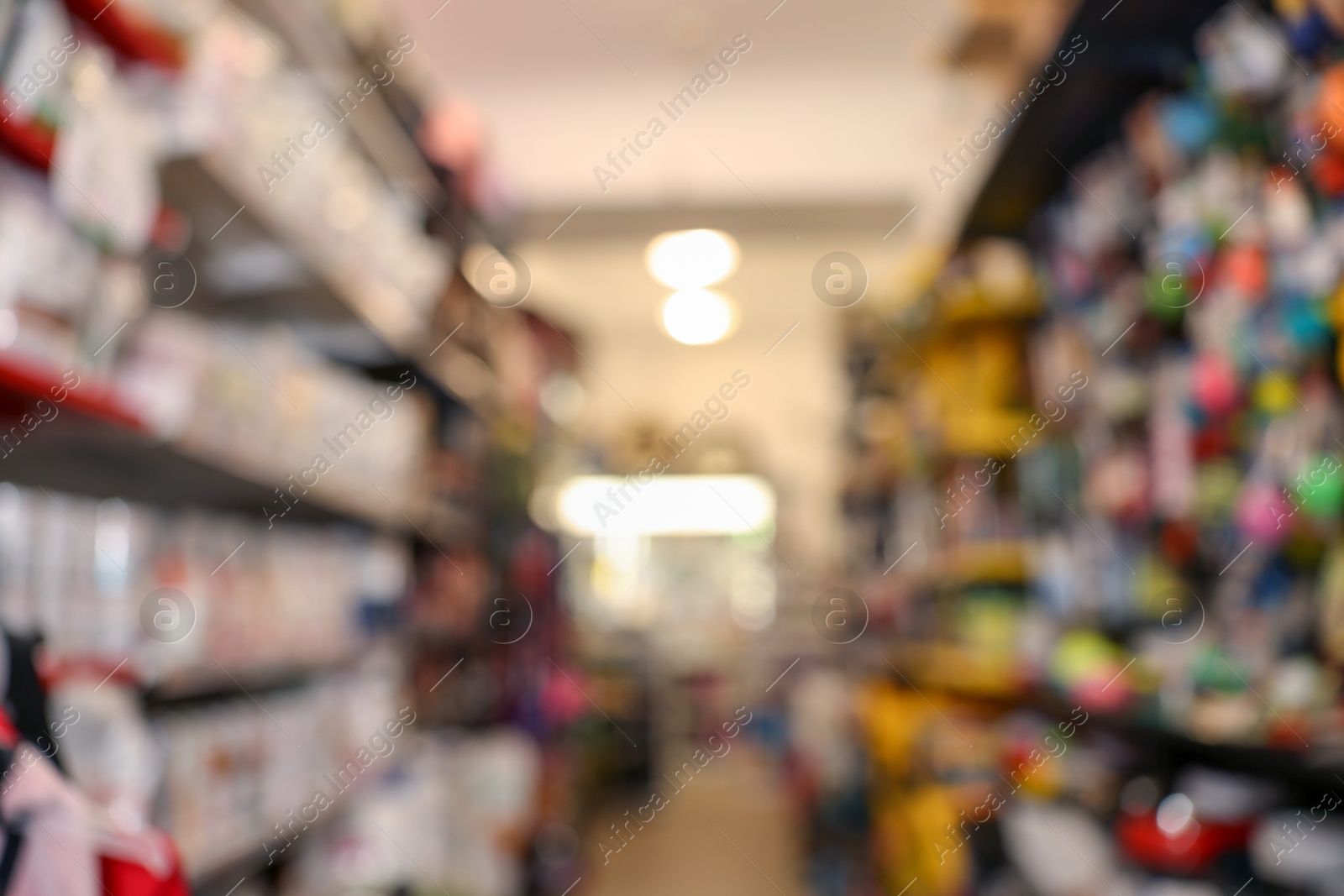 Photo of Blurred view of shelves with different products in pet shop