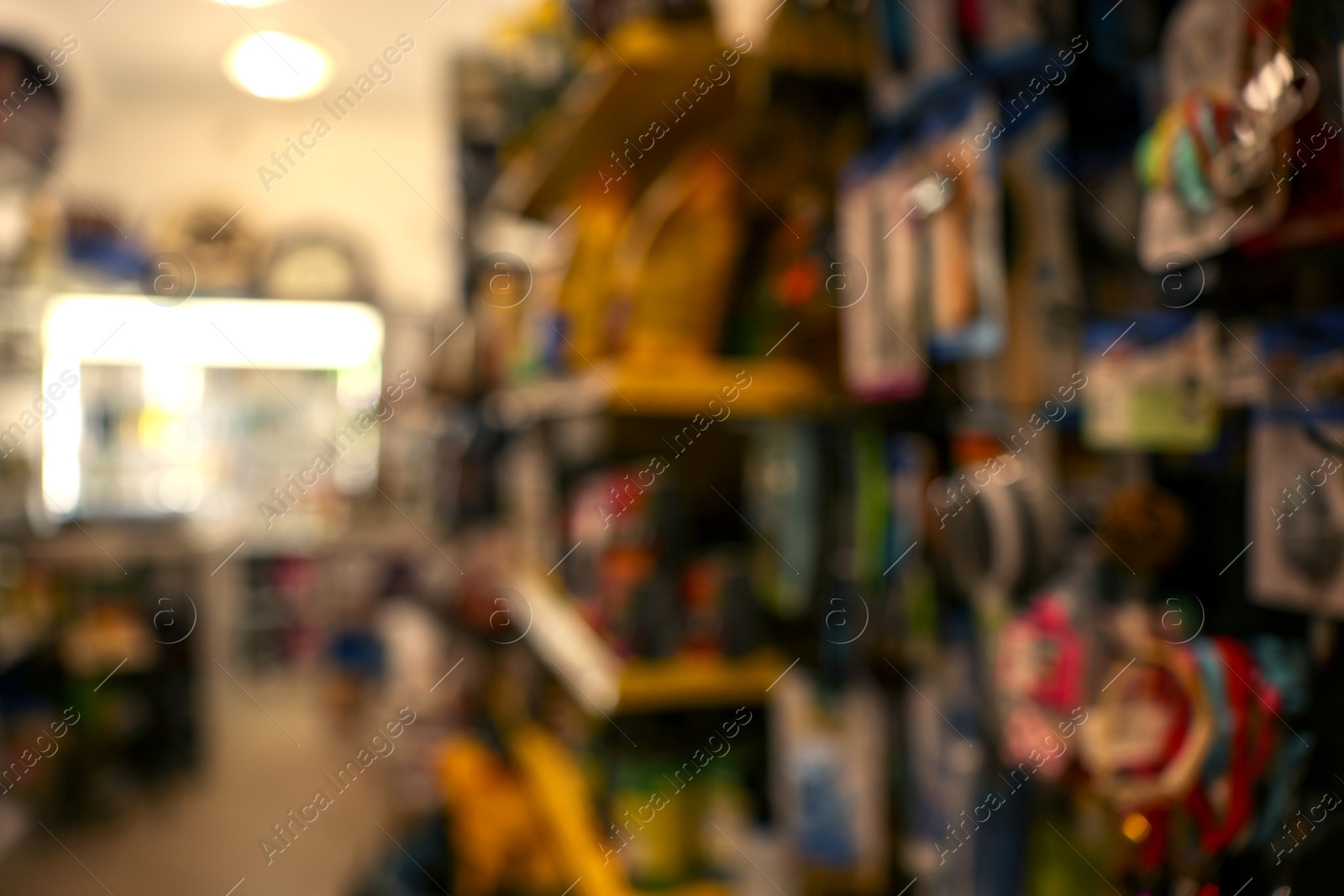 Photo of Blurred view of shelves with different products in pet shop