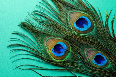 Photo of Many beautiful peacock feathers on turquoise background, top view