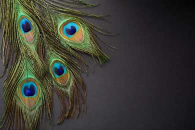 Photo of Many beautiful peacock feathers on dark grey background, top view. Space for text