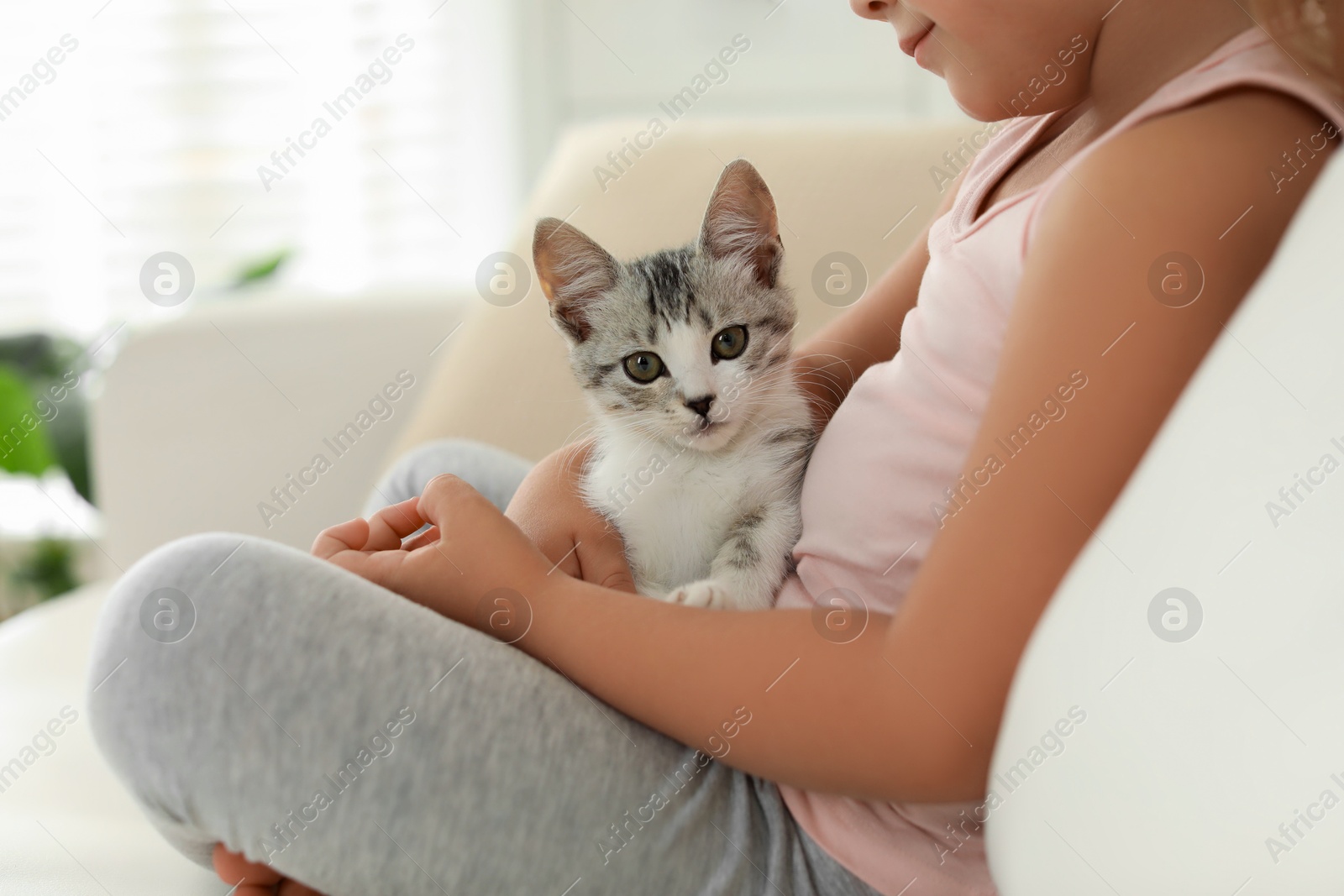 Photo of Little girl with cute kitten at home, closeup