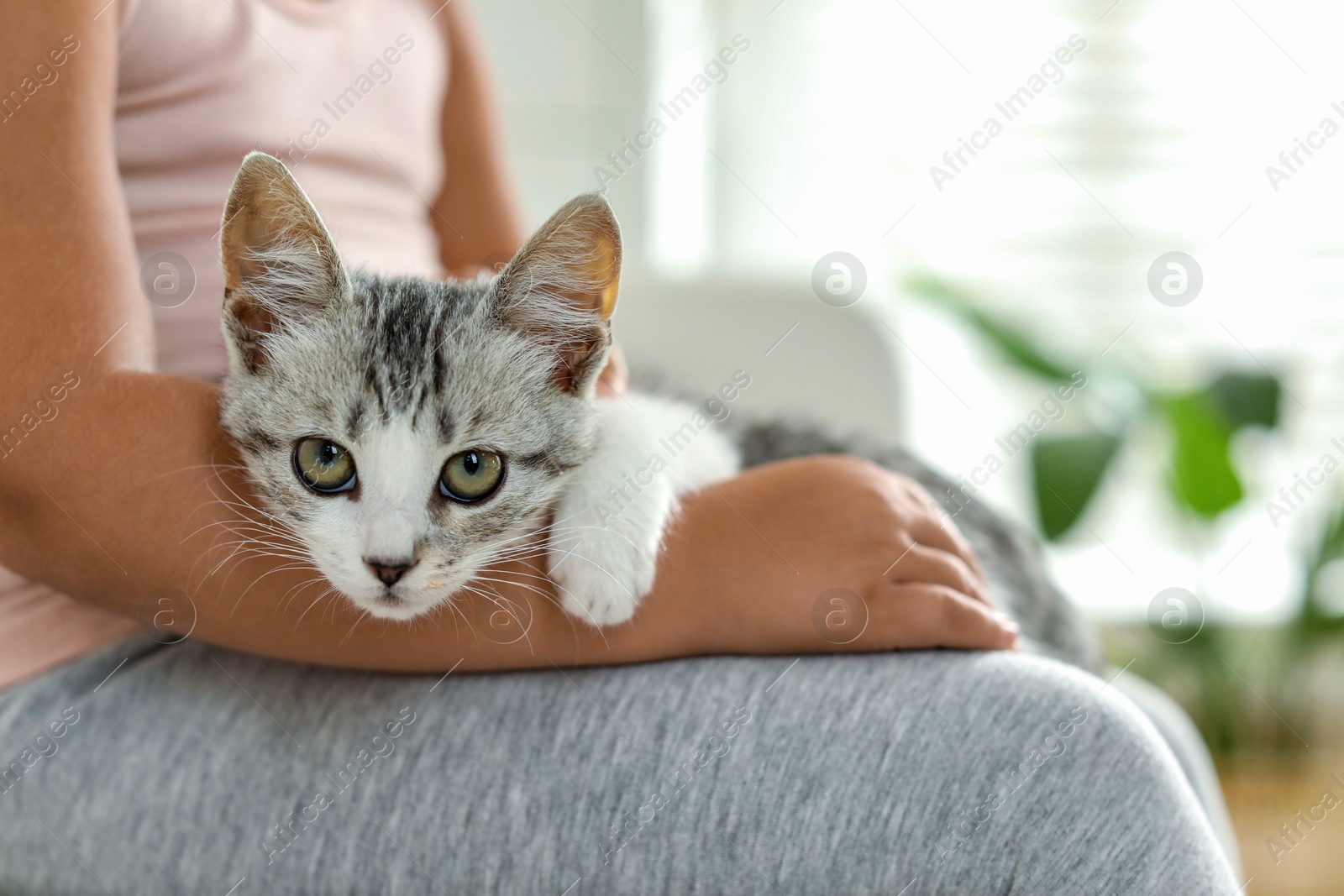 Photo of Little girl with cute kitten at home, closeup