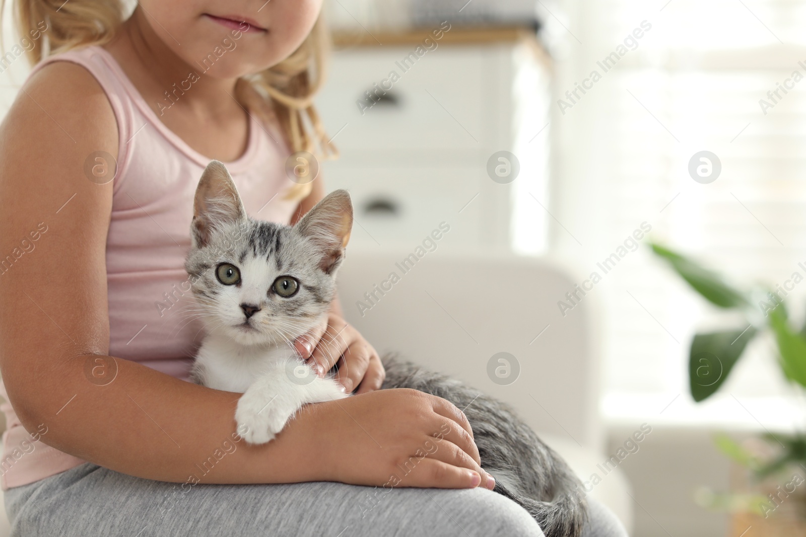 Photo of Little girl with cute kitten at home, closeup