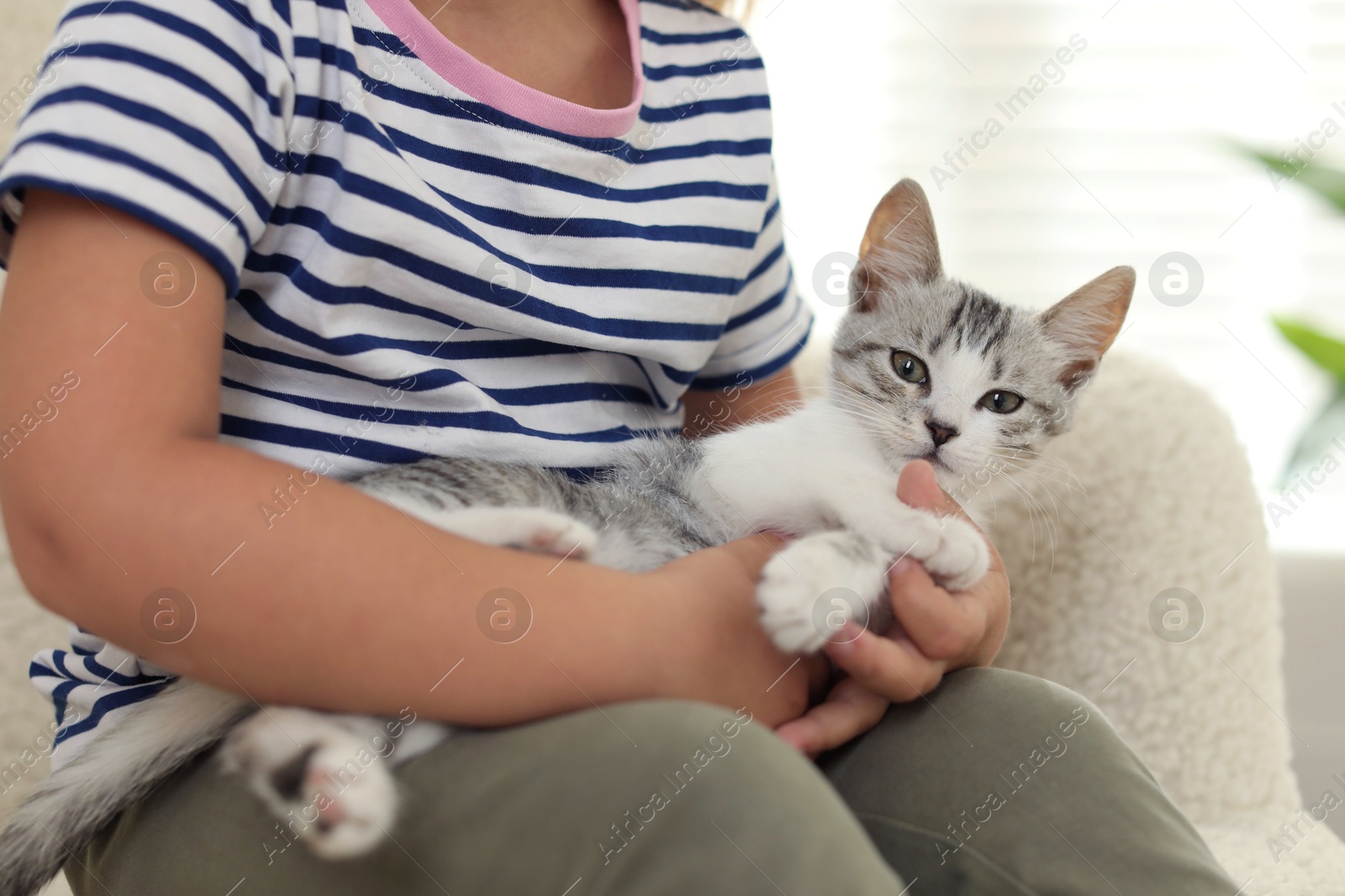 Photo of Little girl with cute kitten at home, closeup