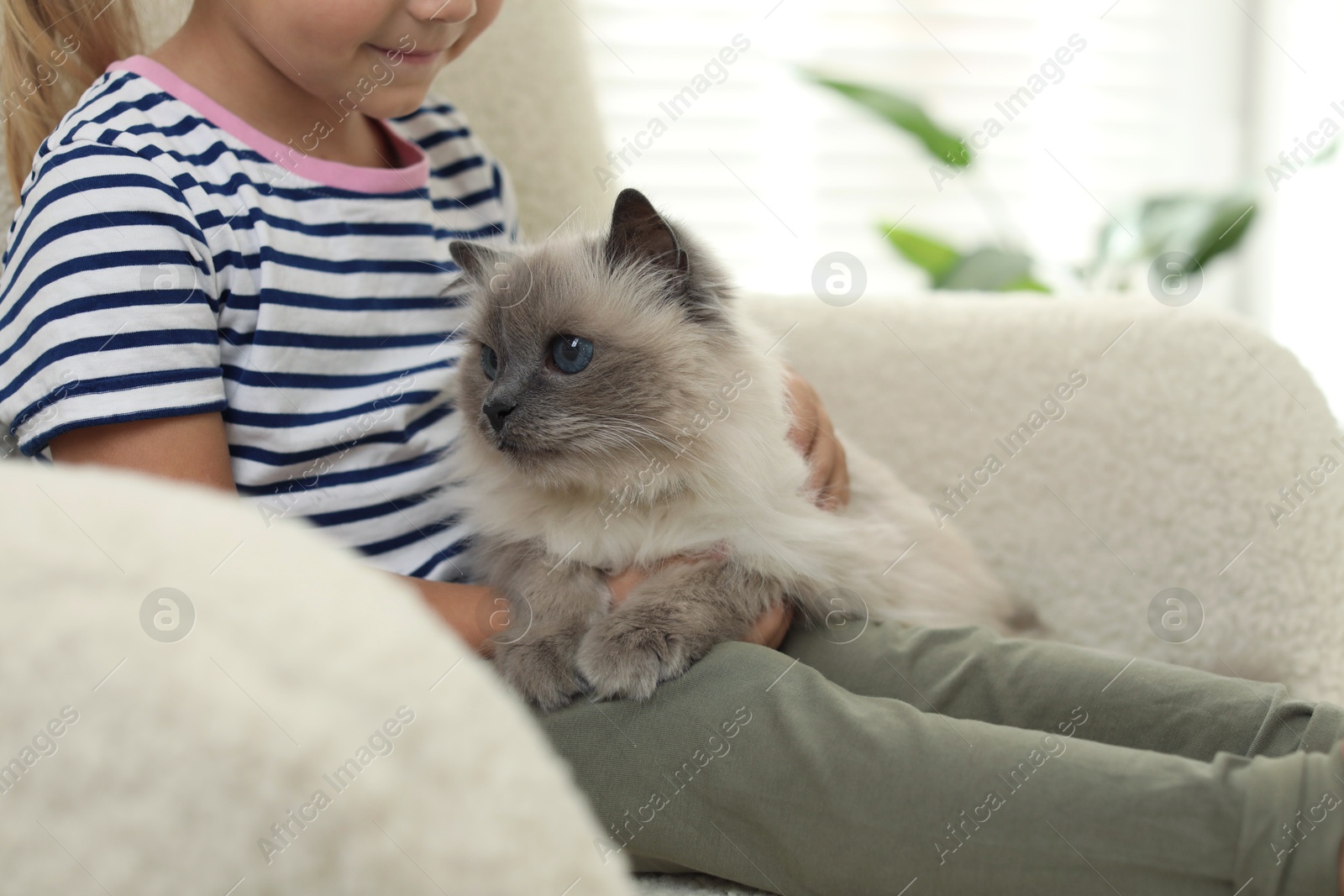 Photo of Little girl with cute kitten at home, closeup