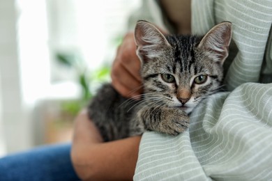 Photo of Woman with cute kitten at home, closeup