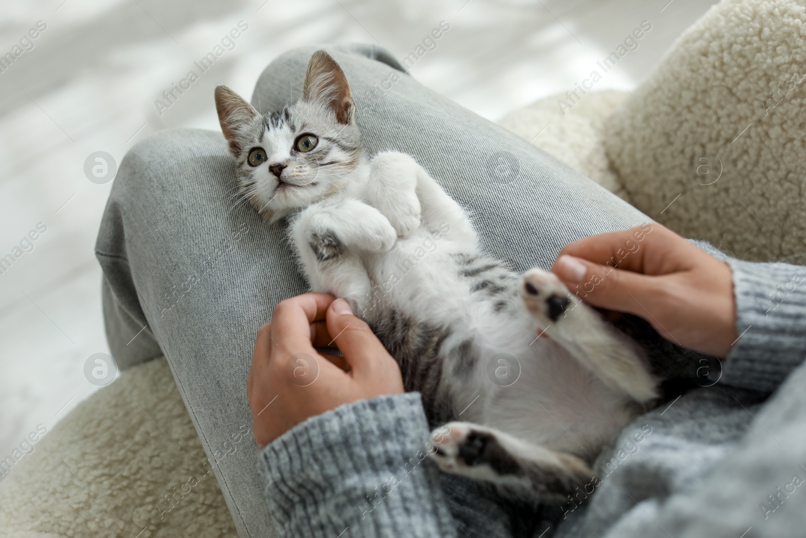 Photo of Woman with cute kitten at home, above view