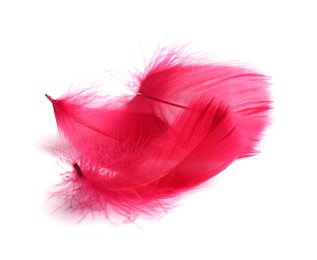 Three fluffy light feathers isolated on white