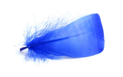 Photo of One fluffy light feather isolated on white