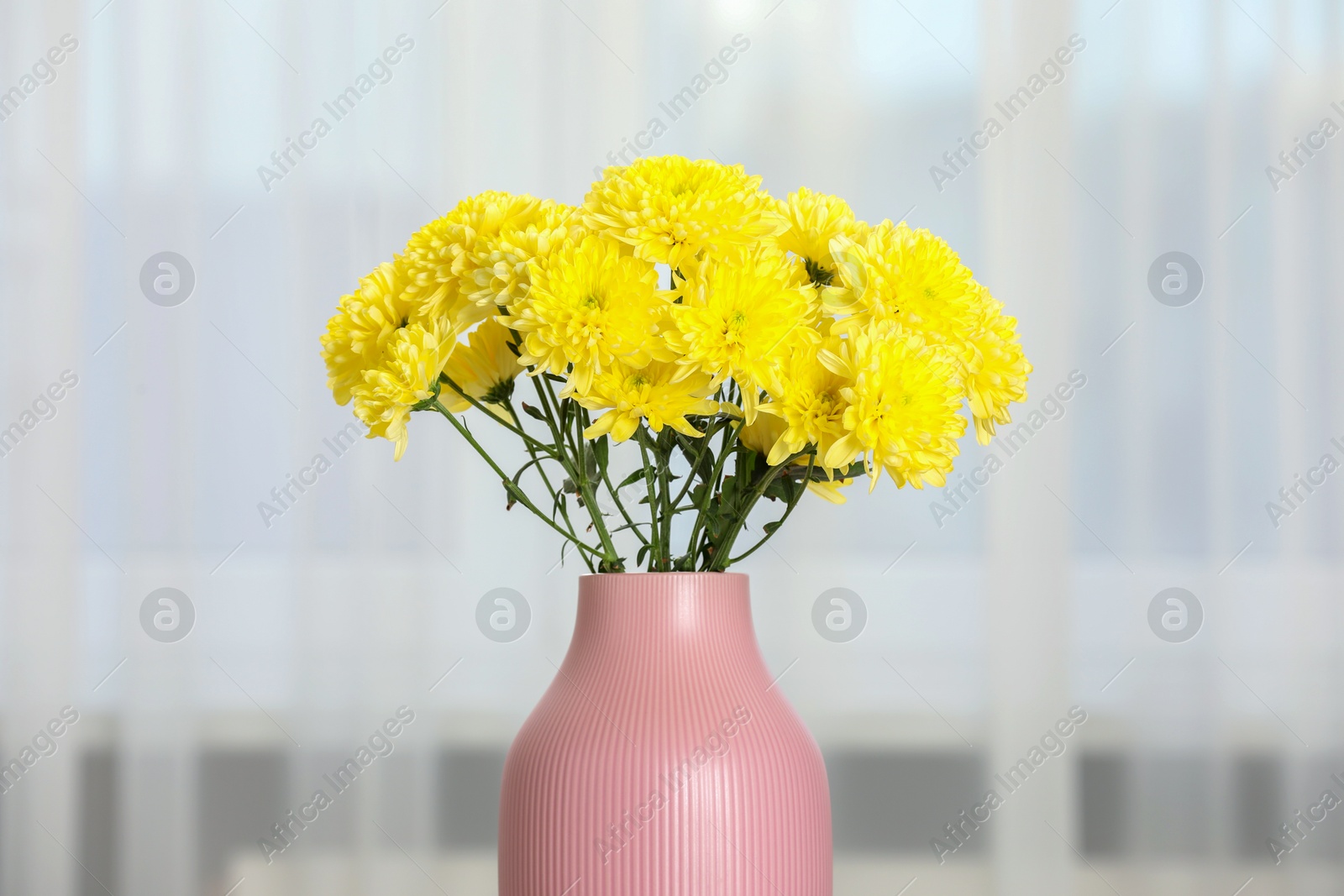 Photo of Beautiful yellow flowers in vase at home