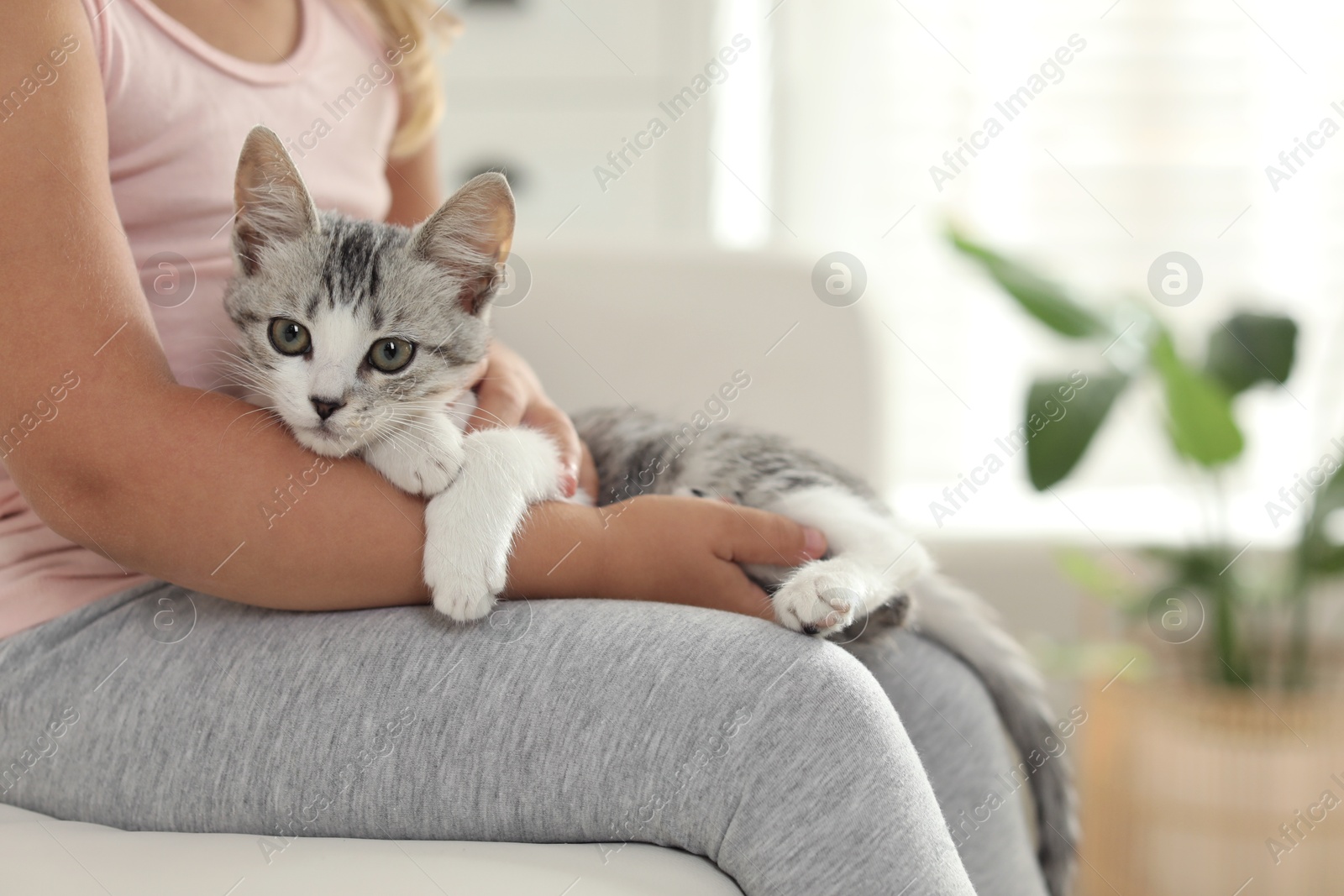 Photo of Little girl with cute kitten at home, closeup