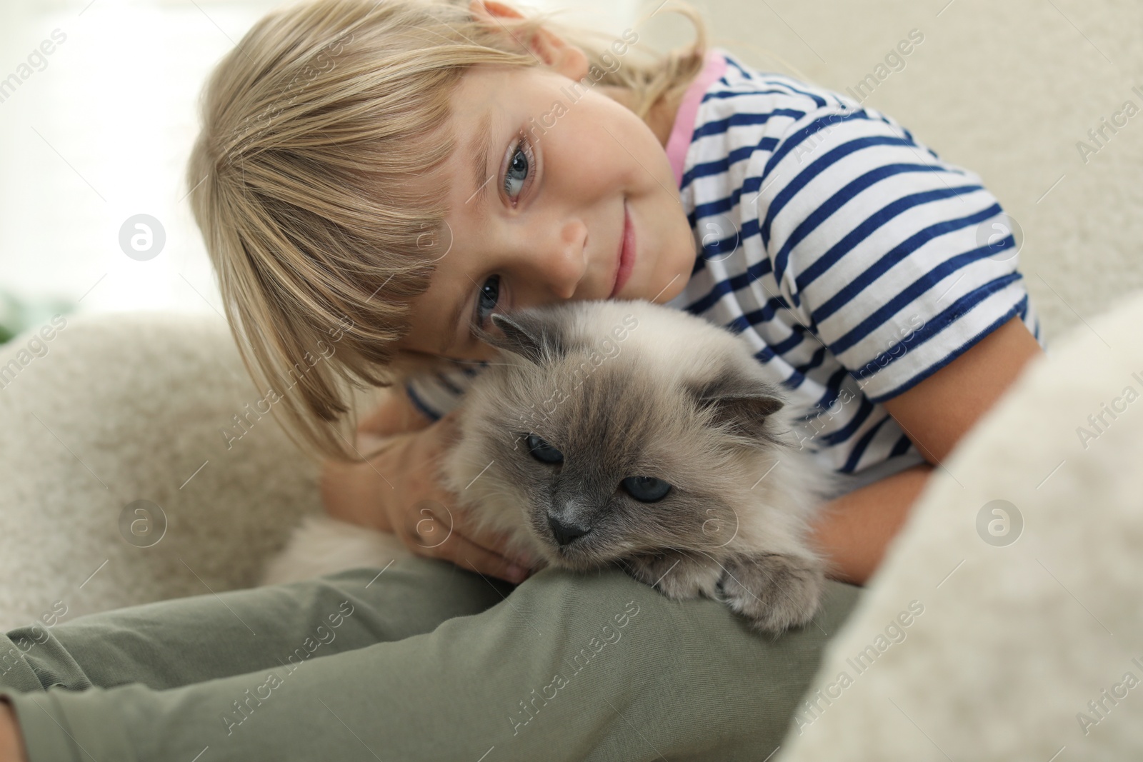 Photo of Little girl with cute kitten at home