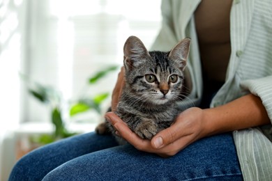 Photo of Woman with cute kitten at home, closeup