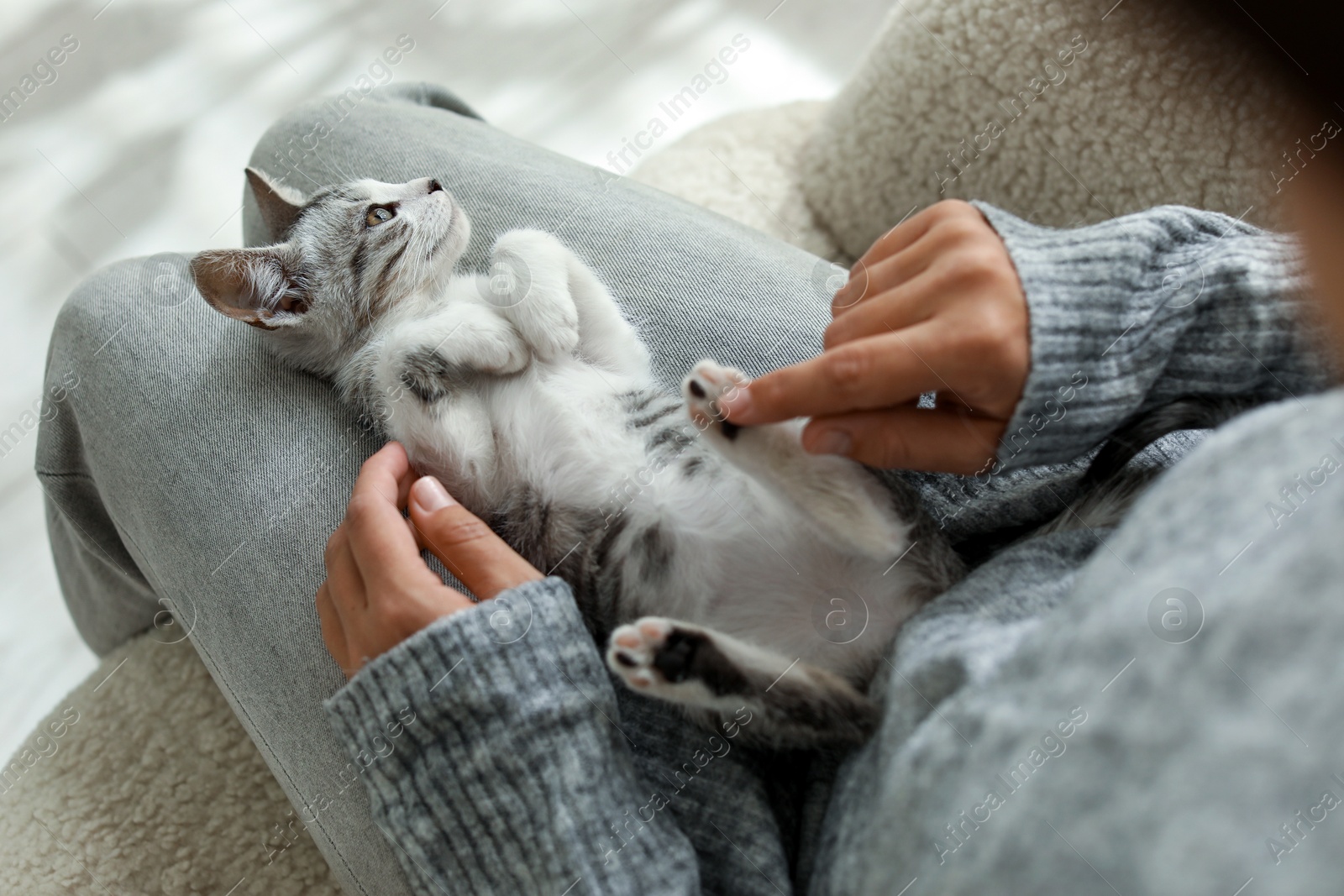 Photo of Woman with cute kitten at home, above view