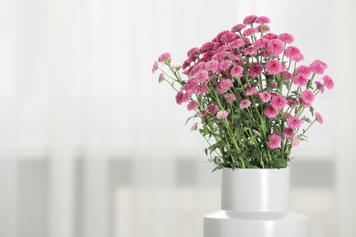 Photo of Beautiful pink flowers in vase at home, space for text