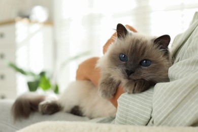 Photo of Woman with cute kitten at home, closeup