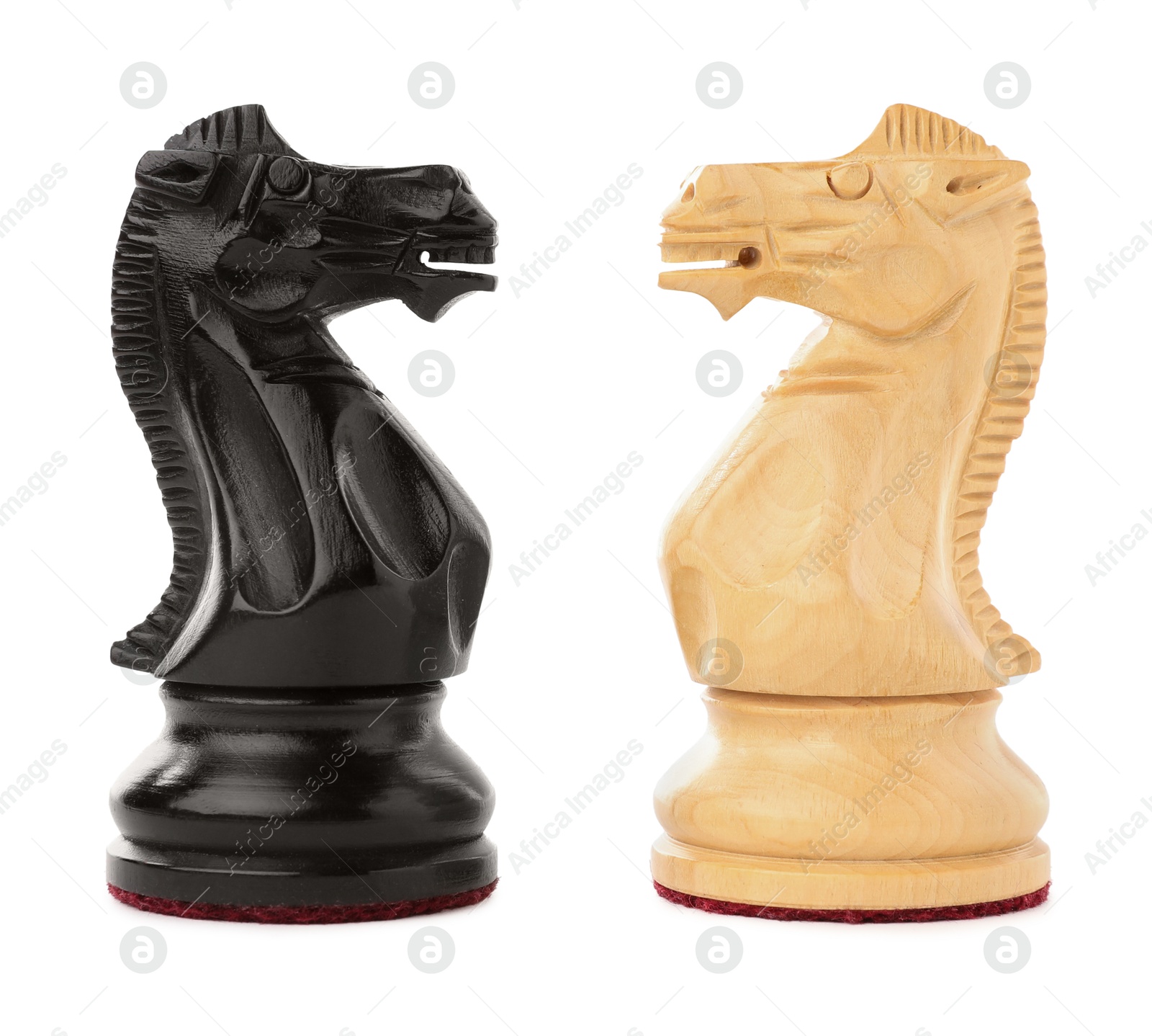 Photo of Black and white chess knights isolated on white. Competition concept