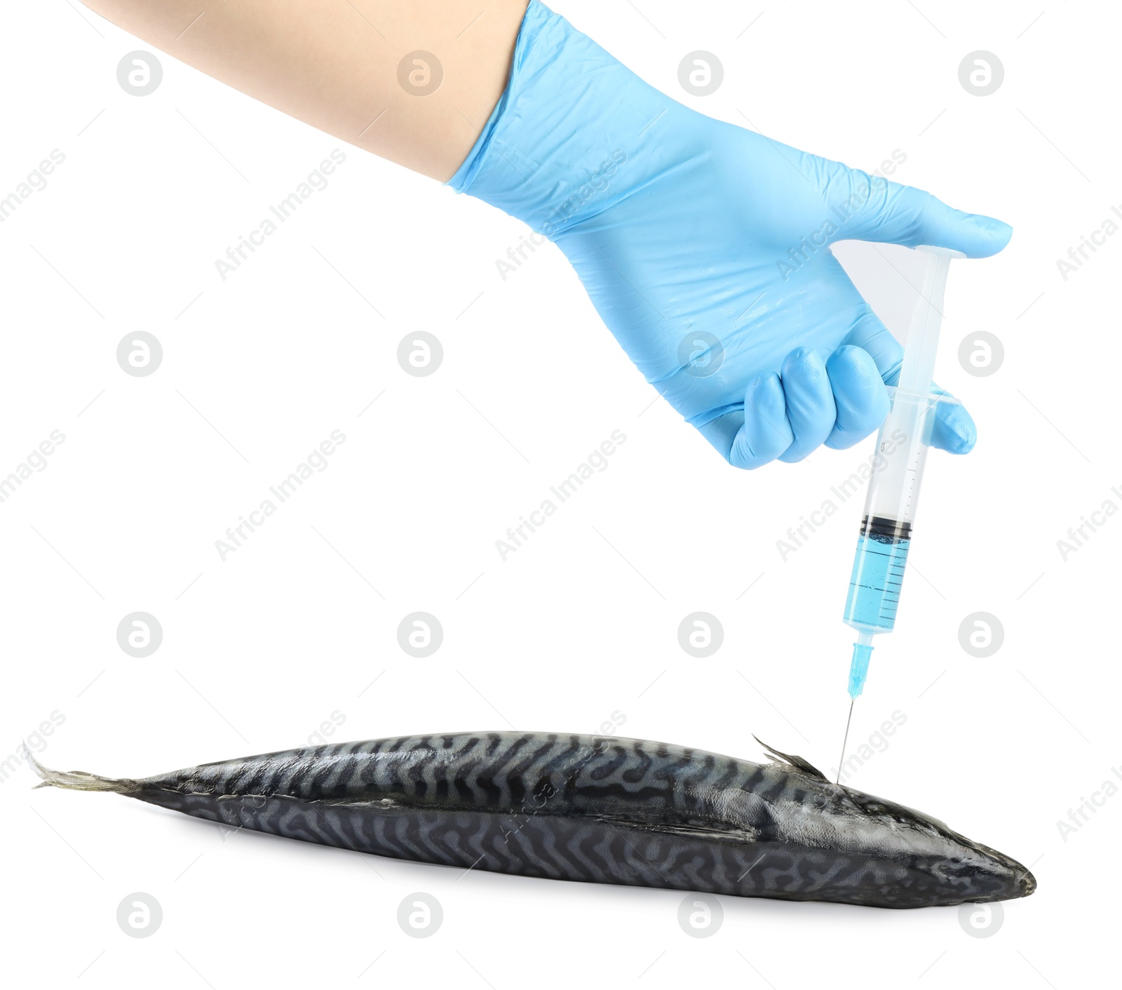 Photo of GMO concept. Scientist injecting something into fish on white background, closeup