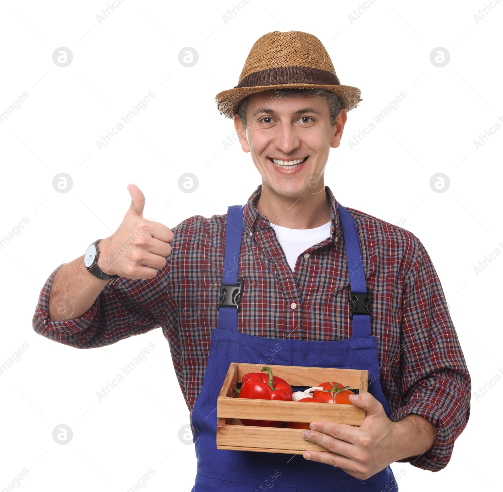 Photo of Farmer with vegetables showing thumbs up on white background