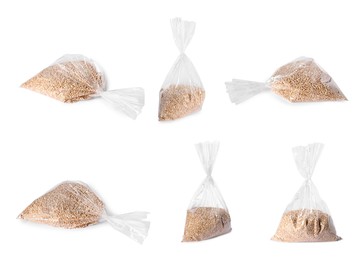 Image of Plastic bag with wheat grains isolated on white, collage