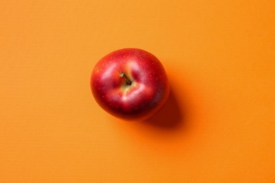 Photo of One fresh red apple on orange background, top view