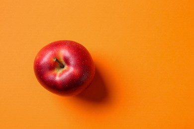 Photo of One fresh red apple on orange background, top view. Space for text