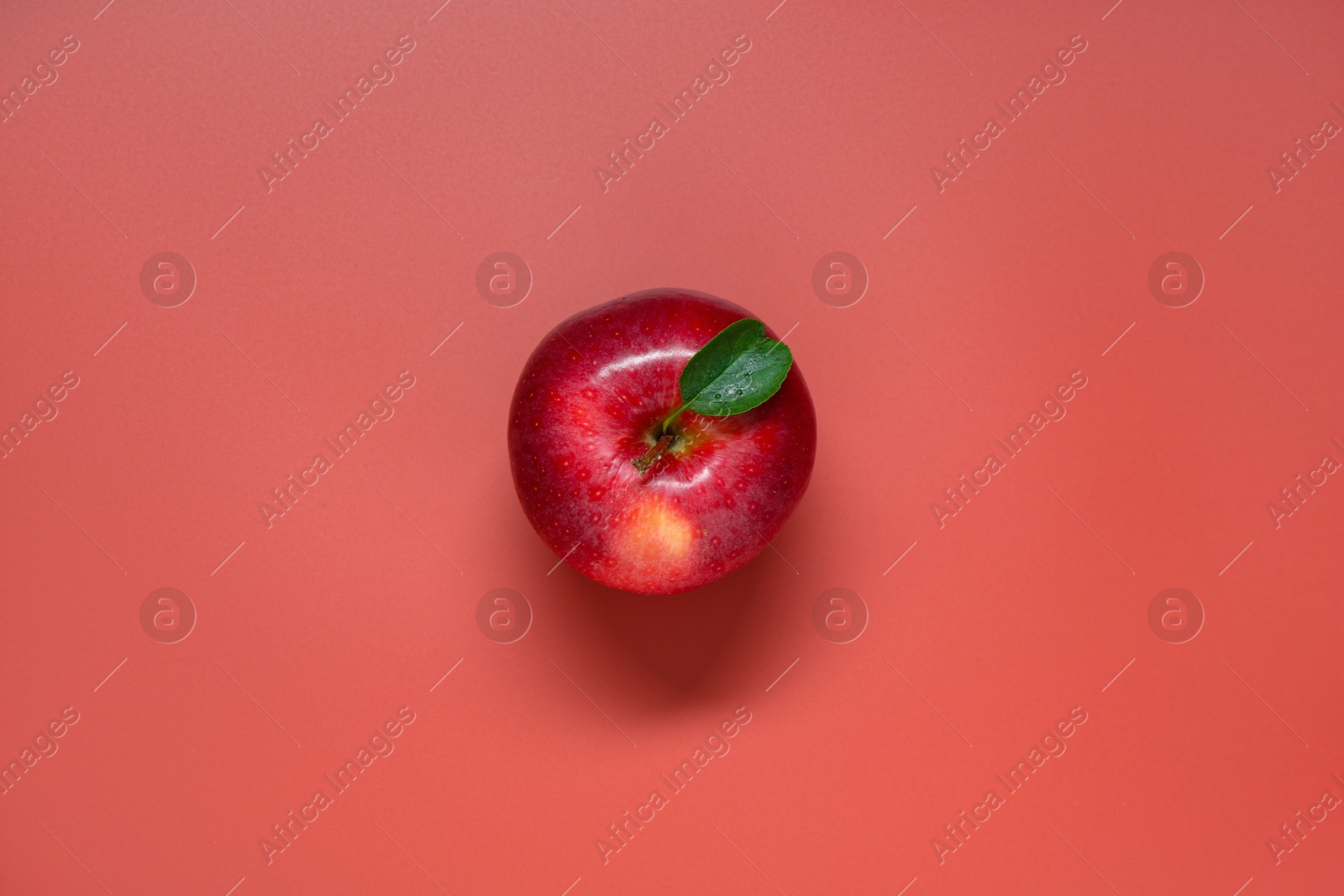 Photo of Fresh ripe apple on red background, top view