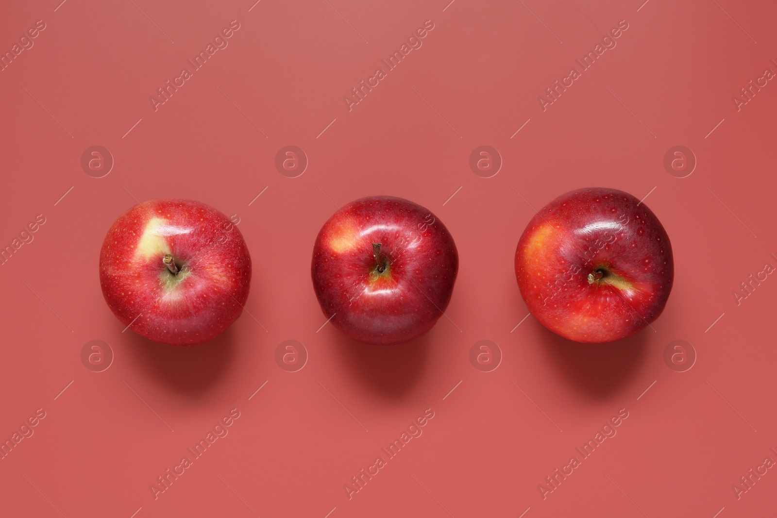 Photo of Whole apples on red background, flat lay