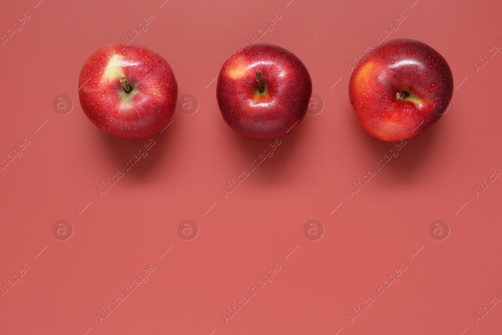 Photo of Whole apples on red background, flat lay. Space for text