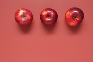 Photo of Whole apples on red background, flat lay. Space for text