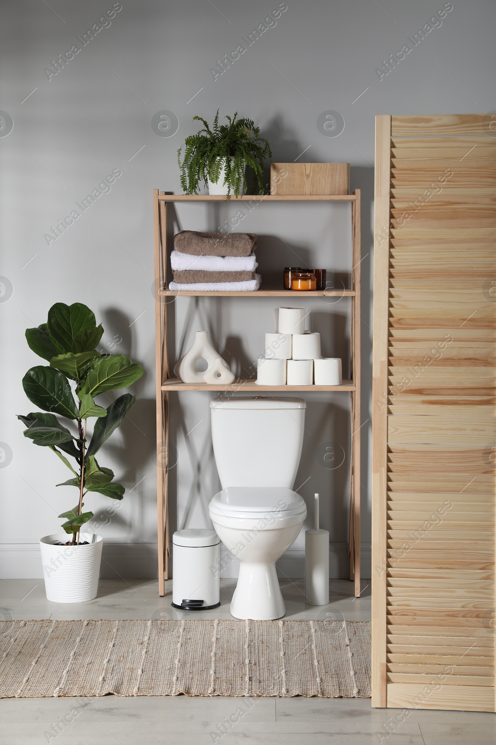 Photo of Folding screen, toilet bowl and houseplants in restroom