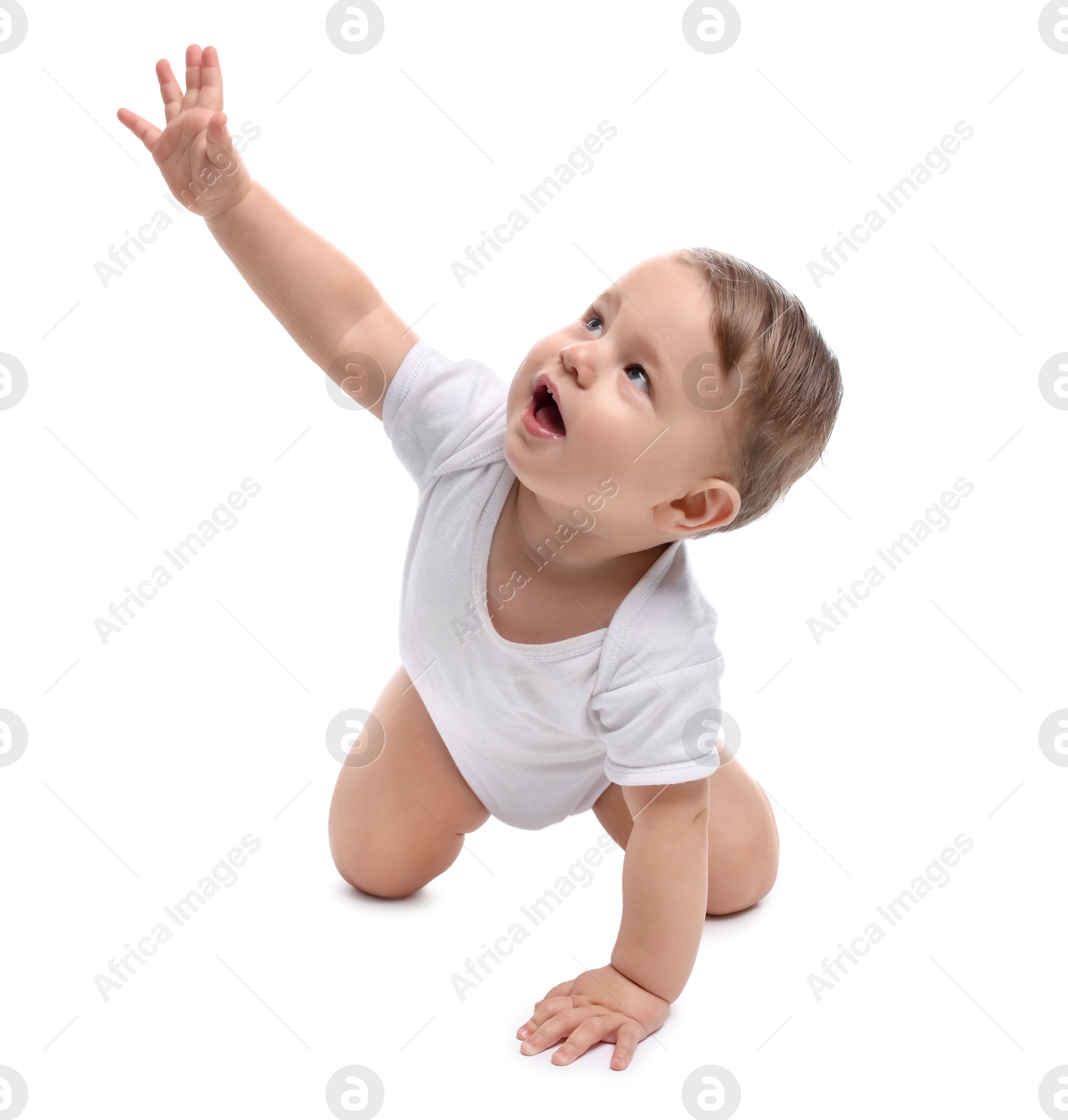 Photo of Cute little baby crawling on white background