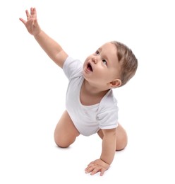 Photo of Cute little baby crawling on white background