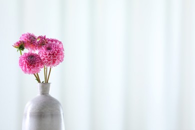 Photo of Beautiful pink flowers in vase against light background, closeup. Space for text