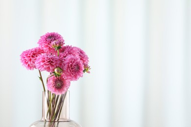 Photo of Beautiful pink flowers in vase against light background, closeup. Space for text