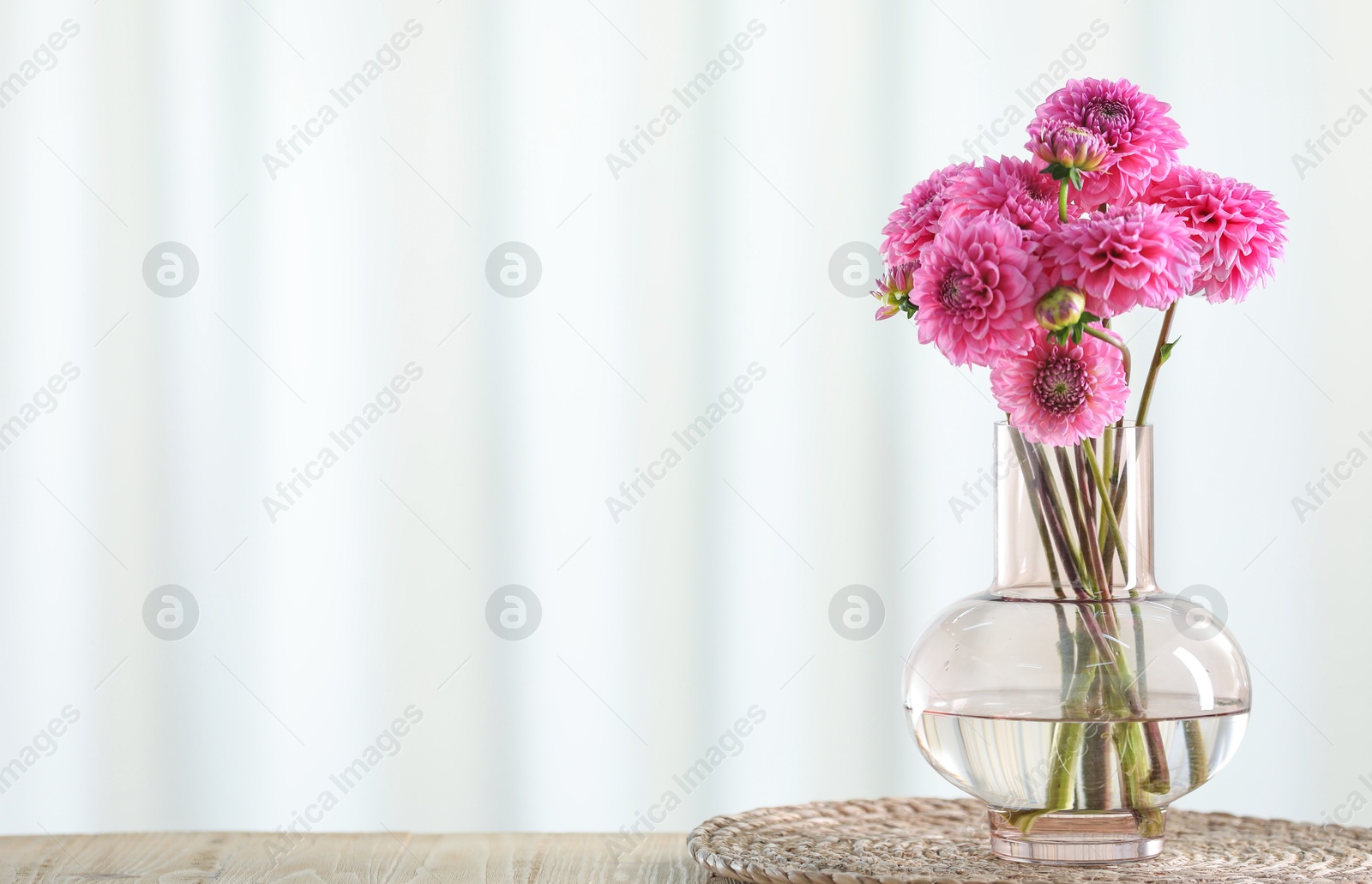 Photo of Beautiful pink flowers in vase on wooden table at home. Space for text