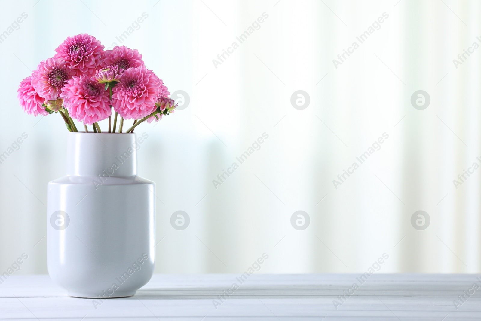 Photo of Beautiful pink flowers in vase on white wooden table at home. Space for text