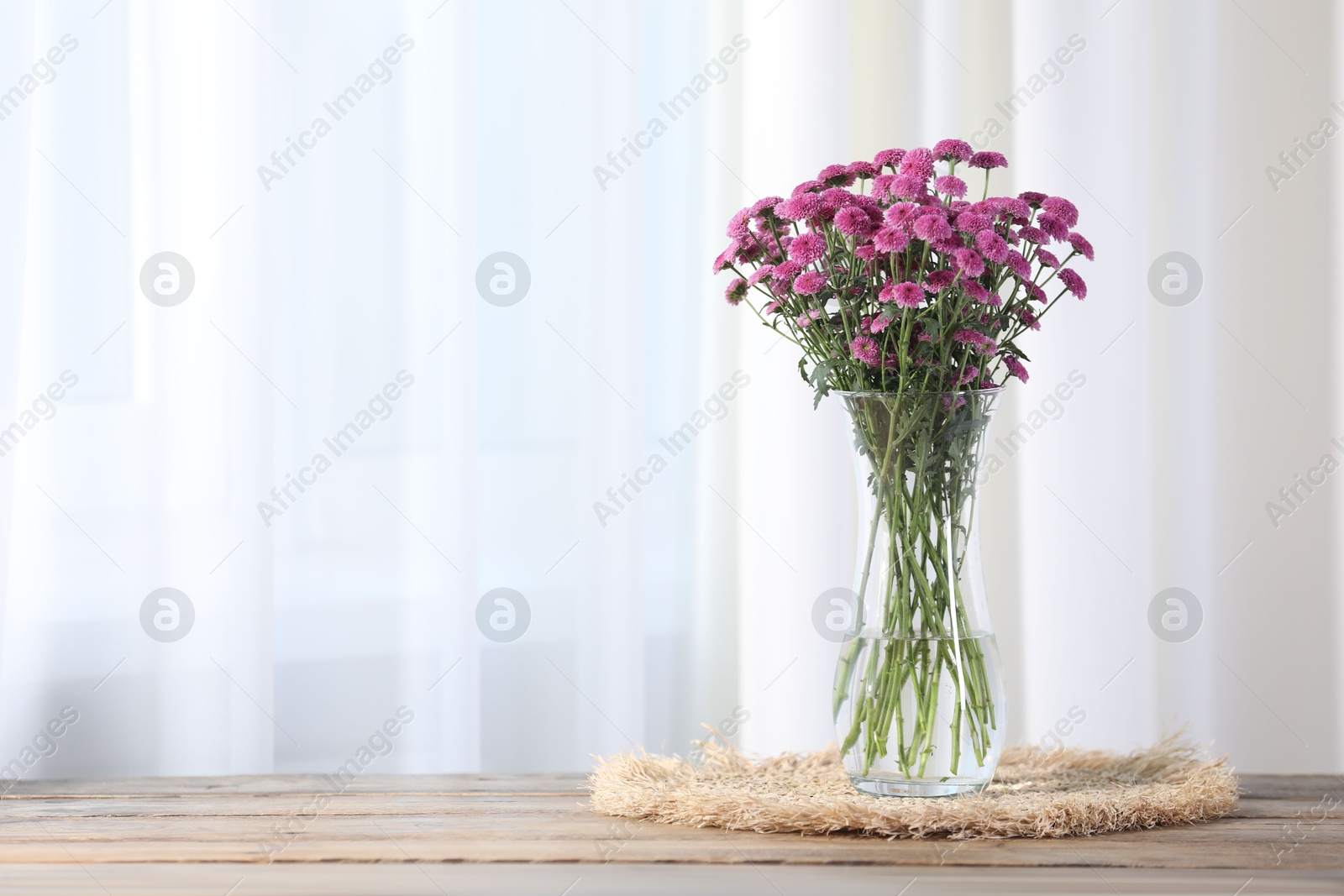 Photo of Beautiful pink flowers in vase on wooden table indoors. Space for text